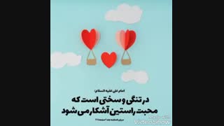 محبت راستین …✨… امام علی «ع»