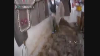 احیای هنر نمدمالی 2300 ساله در سمیرم (استان اصفهان)