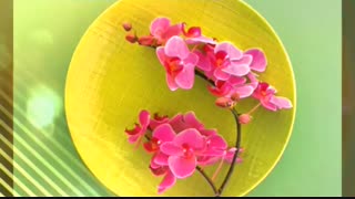 امام زمان عج