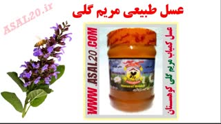 خواص عسل طبیعی مریم گلی متعلق به فروشگاه عسل کوهستان