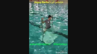 بارفیکس آبی