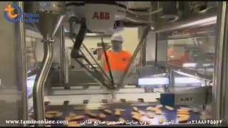 خط بسته بندی شنیسل ماهی