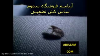صحنه هایی بسیار جالب و ناب از لحظه گزش ساس