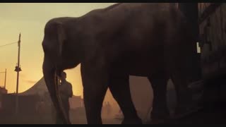 تریلر رسمی انیمیشن دامبو