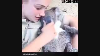 انسان ها و حیوانات