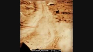 یه کام بگیر روشن شی