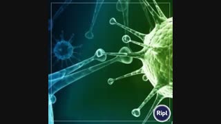 تست زیست دوازدهم جلد اول خیلی سبز