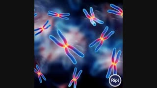 زیست دوازدهم مهروماه