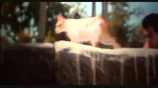 دانلود فیلم Stree 2018