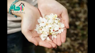 نکاتی در مورد حیا و حجاب که خانم ها و آقایان باید بدانند