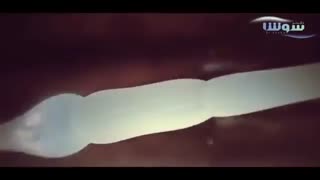 انیمیشن بی نظیر از مراحل لقاح و نحوه شروع بارداری