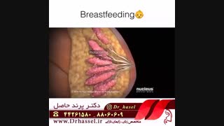 شیردهی