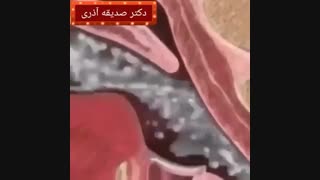 آموزش شیر دهی