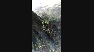 حلال کنین ! + لطفا کپی کنین همه ببینن حق کسی ب گردنم نباشه! لطفا!