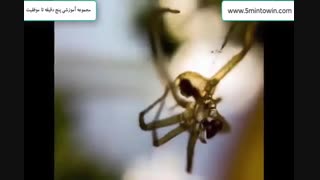 آموزش عکاسی با موبایل 1 - موبایل گرافی