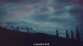 [Let me down slowly]-