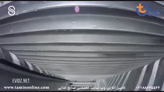 خط سورتینگ و بسته بندی ماهی