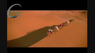 تریلر انیمیشن Up and Away 2018
