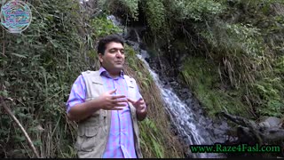 چگونه با درخواست نادرست از خدا روزی خود را کم کرده ایم؟