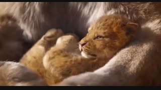 فیلم لایو اکشن Lion King