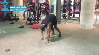 حرکت چهار دست و پا