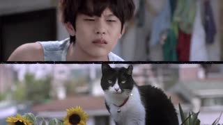 دانلود قسمت اول سریال کره ای تماس عشق1 +زیرنویس آنلاین +کامل Love Cells 1  با بازی کیم یو جونگ