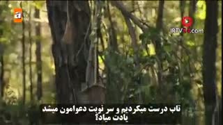 دانلود قسمت 2 تپه شاهین Sahin Tepesi با زیرنویس چسبیده فارسی