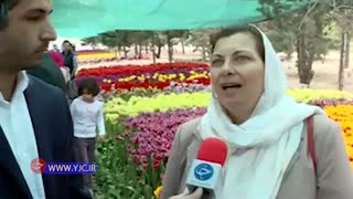 200 هزار لاله هلندی مهمان بهار 1397 یکی از خیابان های تهران ( باشگاه خبرنگاران جوان)