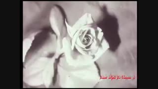 آهنگ(دوست من،،گل سرخ) فوق العاده زیبا و نوستالژیک از فرانسوا آردی با ترجمه صحیح