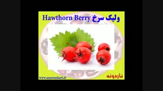 فروش دمنوش زالزالک