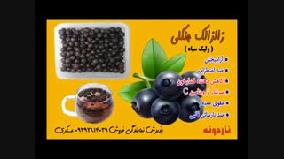 زالزالک جنگلی ( ولیک سیاه ) / فیلم