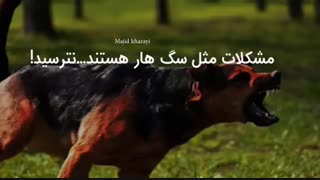 مشکلات مثل سگ هار هستند...نترسید!