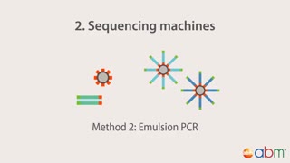 An Introduction to Next Generation Sequencing