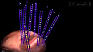 Next Generation Sequencing-Illumina