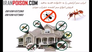 سم بسیار قوی سوسک کش شات گان