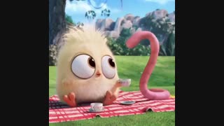 جوجه و کرم