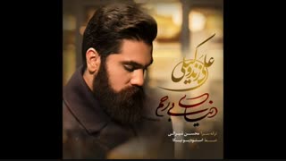 آهنگ دنیای بی رحم - علی زند وکیلی