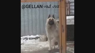-------------