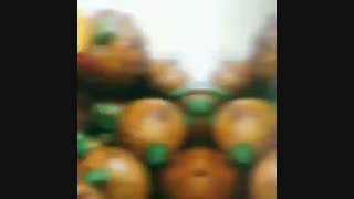 فینگرفودهاى خوشمزه و با کیفیت ساناز