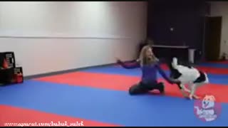 رقص زیبای سگ بهمراه مربی اش؟!!!