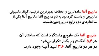 پاورپوینت درباره پروتئین سازی