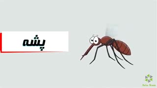 پشه گزیدگی پوست!!