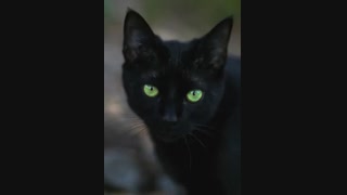 هر دفعه که چهره ی کسی رو میبینم...