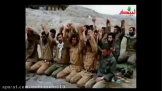 مواظب فرقه شیرازیها باشید