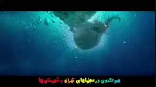 دانلود انیمیشن فیلشاه