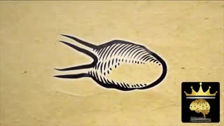چشم سوم از دیدگاه علمی (aura)