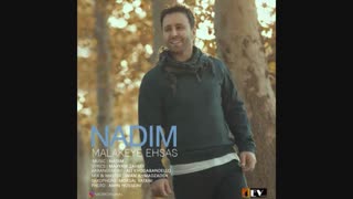 دانلود آهنگ جدید ندیم به نام ملکه احساس