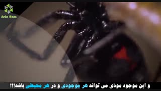 درمان نیش پشه، خارش و سوزش نیش پشه