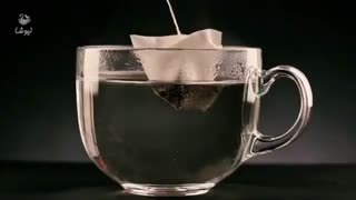 چای دارجیلینگ نیوشا