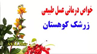 تشخیص عسل طبیعی زرشک - خرید عسل طبیعی از فروشگاه عسل کوهستان